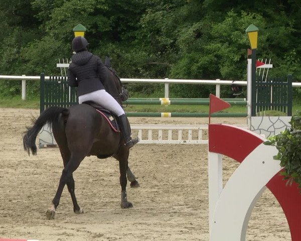 Reitturnier Hünfelden-Kirberg 2021