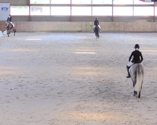 Reitturnier Süderlügum 2021
