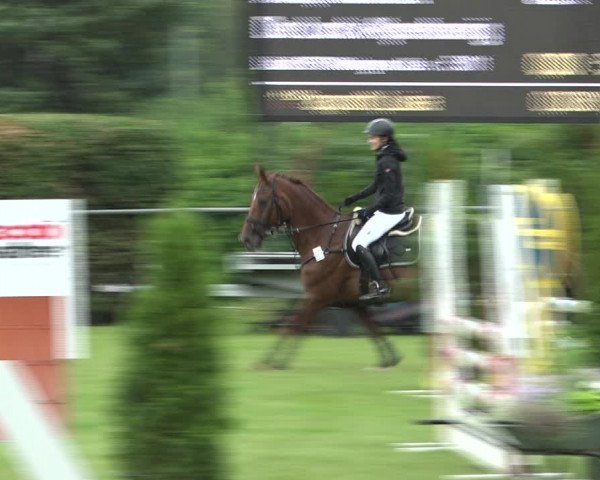 Reitturnier Moringen 2021