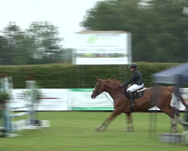 Reitturnier Moringen 2021