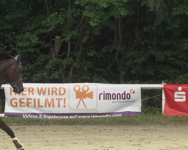 Reitturnier Hünfelden-Kirberg 2021