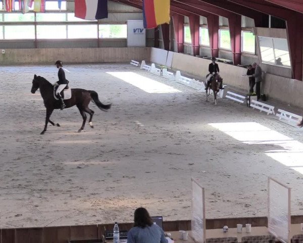 Reitturnier Süderlügum 2021