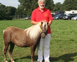 broodmare Eichenwalls Ariella (German Classic Pony, 2007, from Jasper)