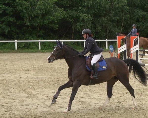Reitturnier Hünfelden-Kirberg 2021