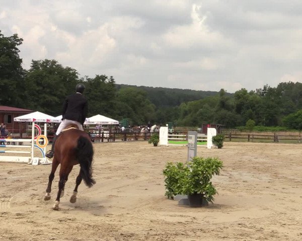 Reitturnier Hemer-Oese an der Edelburg 2021