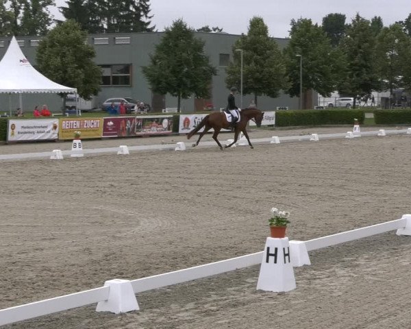 Reitturnier Neustadt/Dosse 2021