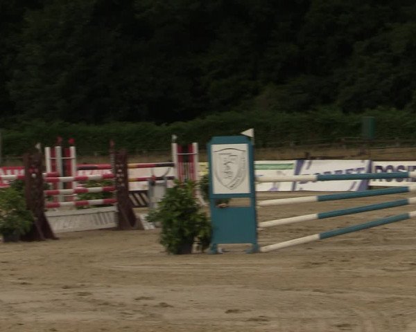Reitturnier Hemer-Oese an der Edelburg 2021