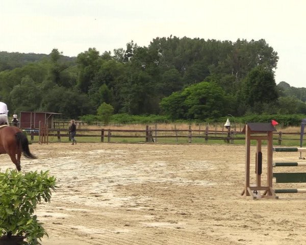 Reitturnier Hemer-Oese an der Edelburg 2021