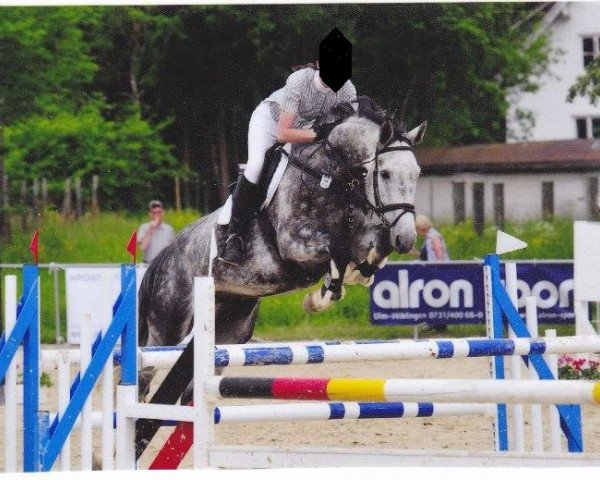 dressage horse Earl Colado (Württemberger, 2003, from Entertainment)