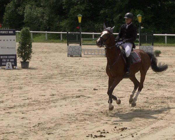 Reitturnier Hünfelden-Kirberg 2021