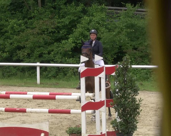 Reitturnier Hünfelden-Kirberg 2021