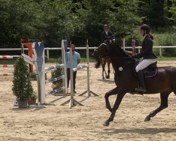 Reitturnier Hünfelden-Kirberg 2021