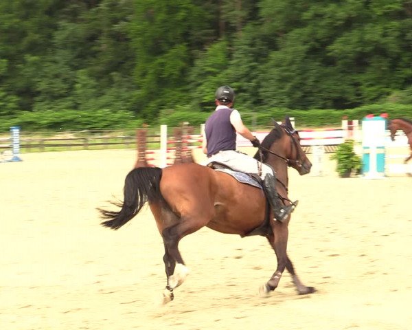 Reitturnier Hemer-Oese an der Edelburg 2021