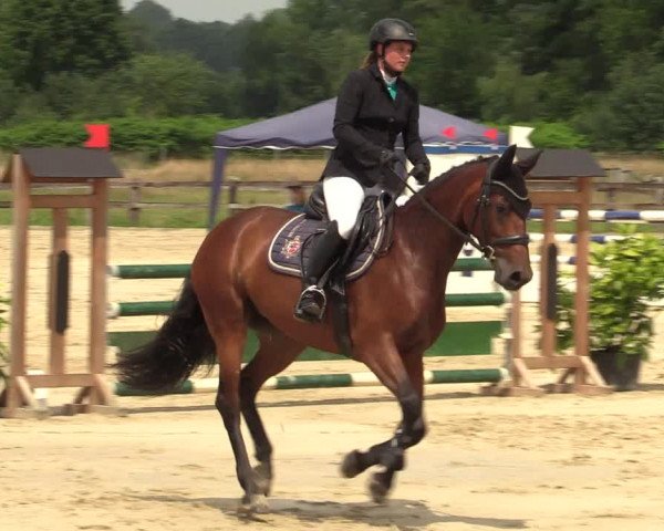 Reitturnier Hemer-Oese an der Edelburg 2021