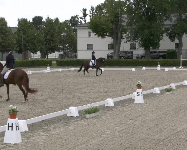 Reitturnier Neustadt/Dosse 2021
