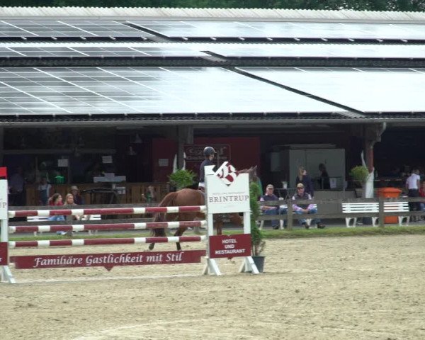 Reitturnier Münster-Roxel 2021
