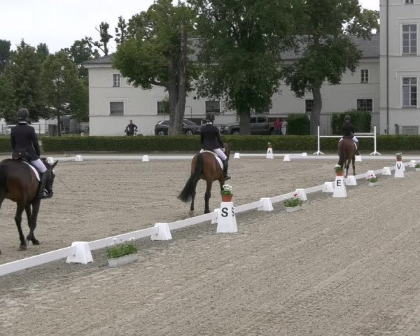 Reitturnier Neustadt/Dosse 2021