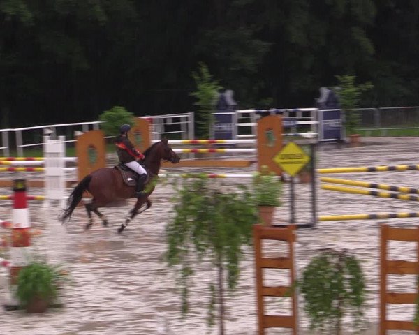 Reitturnier Prussendorf 2021