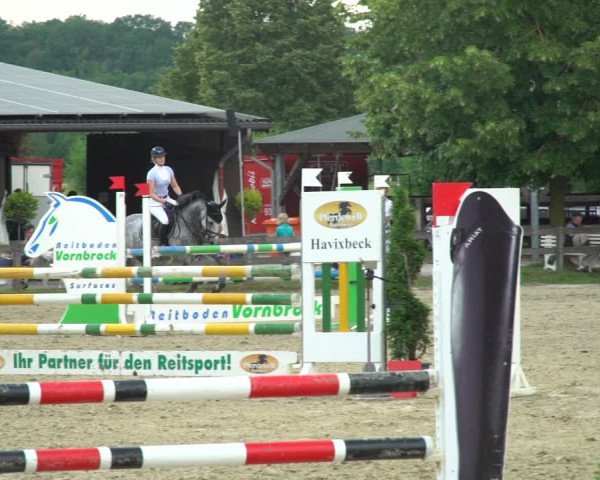 Reitturnier Münster-Roxel 2021