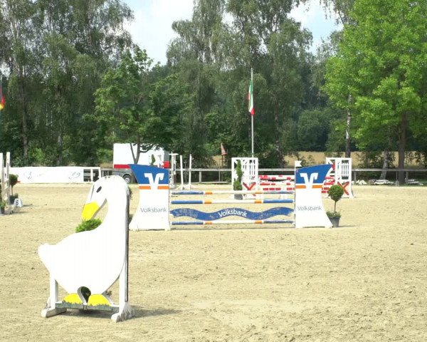 Reitturnier Münster-Roxel 2021