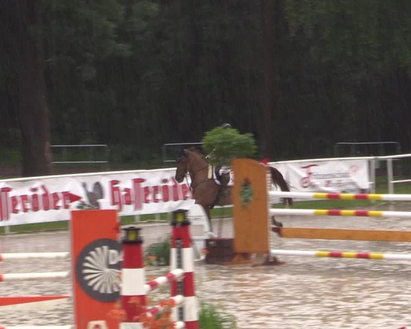 Reitturnier Prussendorf 2021