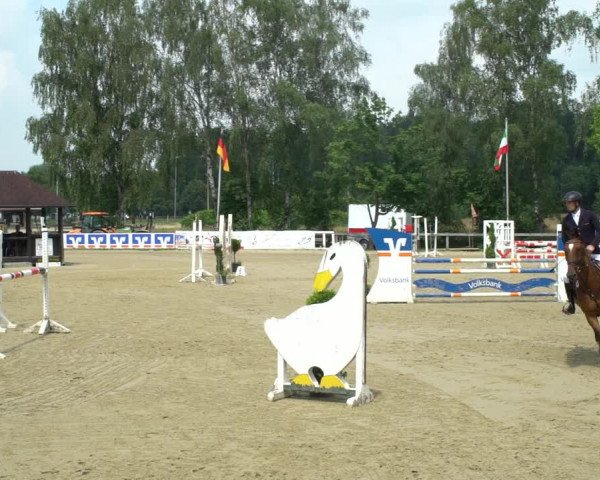 Reitturnier Münster-Roxel 2021