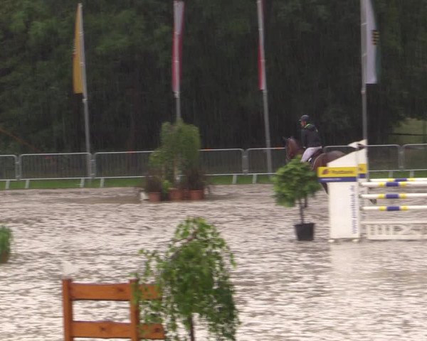 Reitturnier Prussendorf 2021
