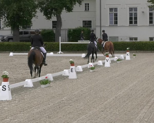 Reitturnier Neustadt/Dosse 2021