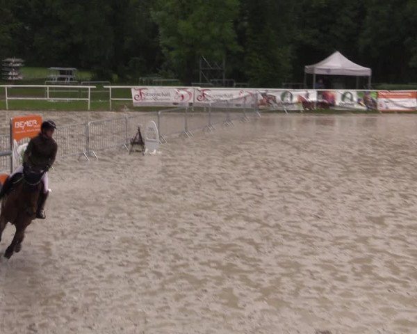 Reitturnier Prussendorf 2021