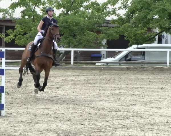 Reitturnier Haren/Lüssing 2021