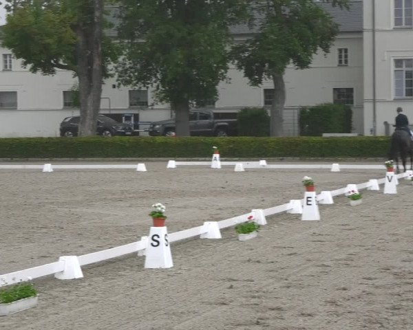 Reitturnier Neustadt/Dosse 2021