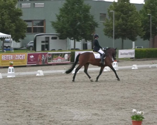 Reitturnier Neustadt/Dosse 2021