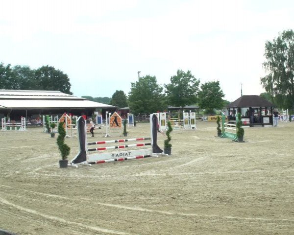 Reitturnier Münster-Roxel 2021