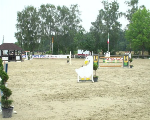 Reitturnier Münster-Roxel 2021