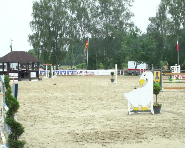 Reitturnier Münster-Roxel 2021