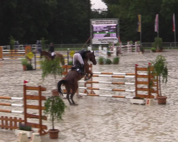 Reitturnier Prussendorf 2021