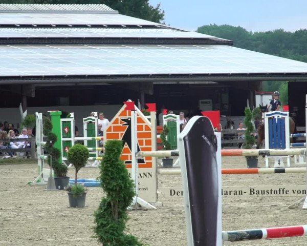 Reitturnier Münster-Roxel 2021
