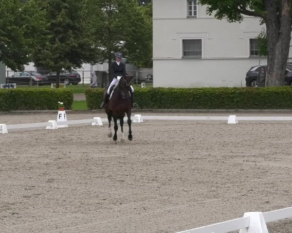 Reitturnier Neustadt/Dosse 2021