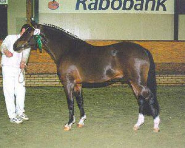 horse Jari 3 (New Forest Pony, 1996, from Merrie Moscan)