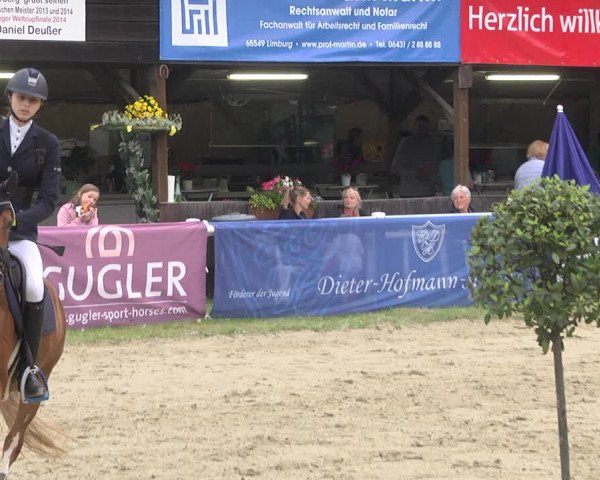 Reitturnier Hünfelden-Kirberg 2021