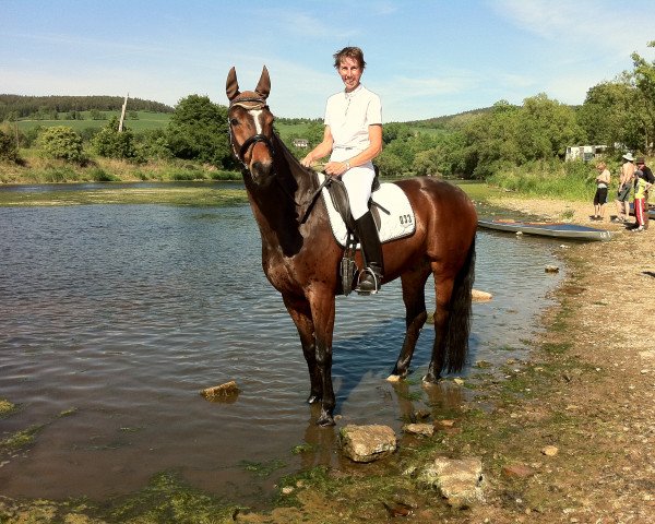 dressage horse Beau Coeur (Hanoverian, 2004, from Harmony's Baroncelli)