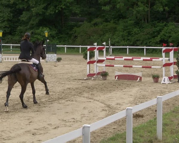 Reitturnier Hünfelden-Kirberg 2021