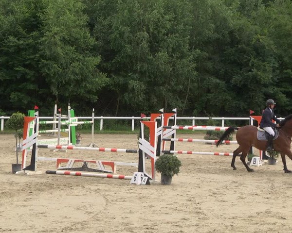 Reitturnier Hünfelden-Kirberg 2021