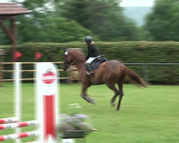 Reitturnier Moringen 2021