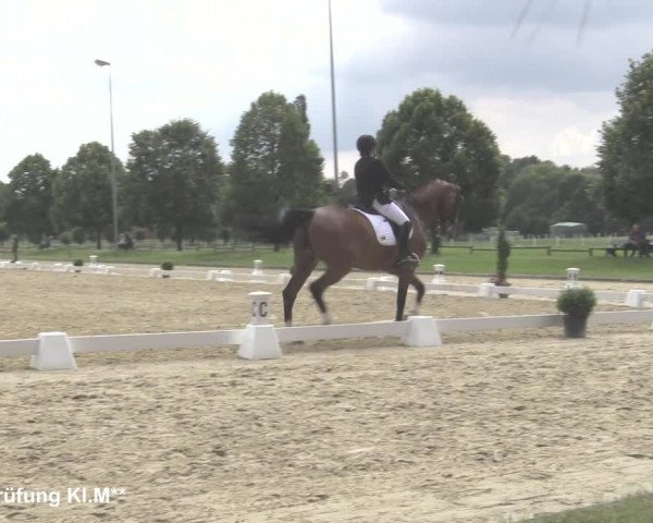 Reitturnier Münster-Roxel 2021