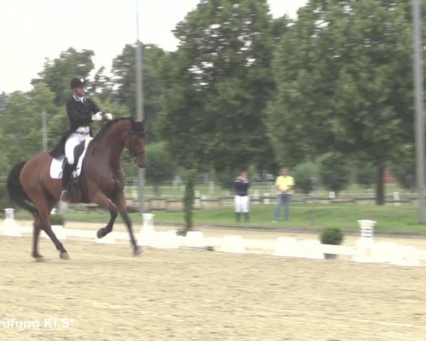 Reitturnier Münster-Roxel 2021