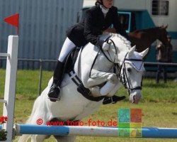 dressage horse Raffaelo 32 (Pony without race description, 2002)