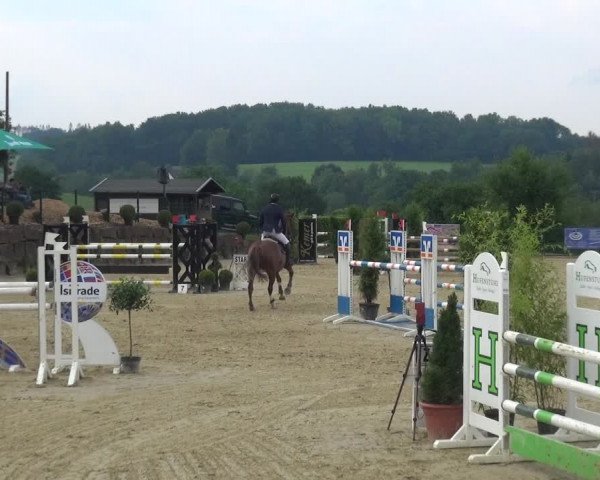 Reitturnier Lindlar-Süttenbach 2021