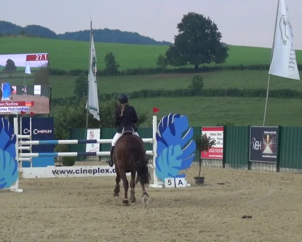 Reitturnier Lindlar-Süttenbach 2021