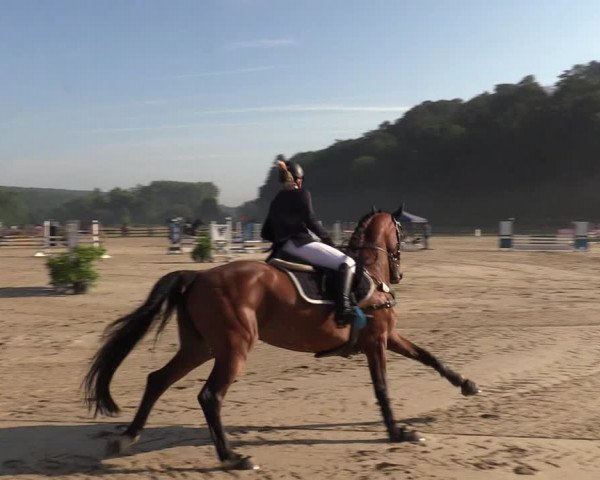 Reitturnier Hemer-Oese an der Edelburg 2021